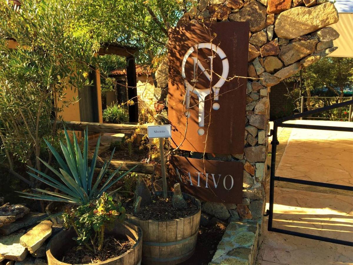 Suites Nativo - Beautiful Vineyard & Valley View Вале де Гуадалупе Екстериор снимка